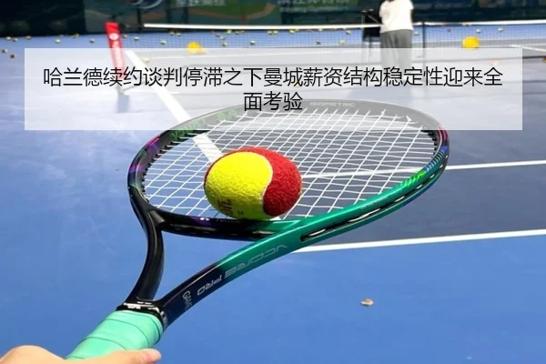 ha-lan-de-xu-yue-tan-pan-ting-zhi-zhi-xia-man-cheng-xin-zi-jie-gou-wen-ding-xing-ying-lai-quan-mian-kao-yan-2-732.jpg